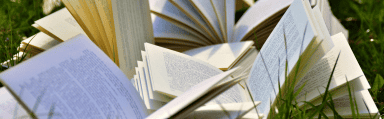 Open books lying on grass